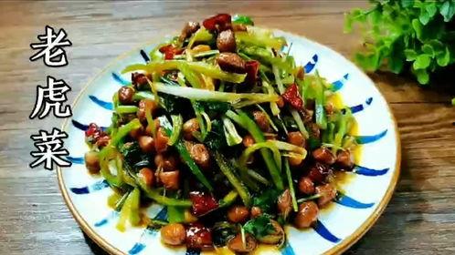 吃瓜网老虎菜合集,盘点那些让人回味无穷的美食故事