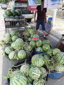 利川网红吃瓜事件,揭秘网络舆论背后的真相与反思