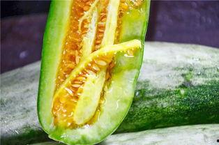 哪些网红有瓜吃